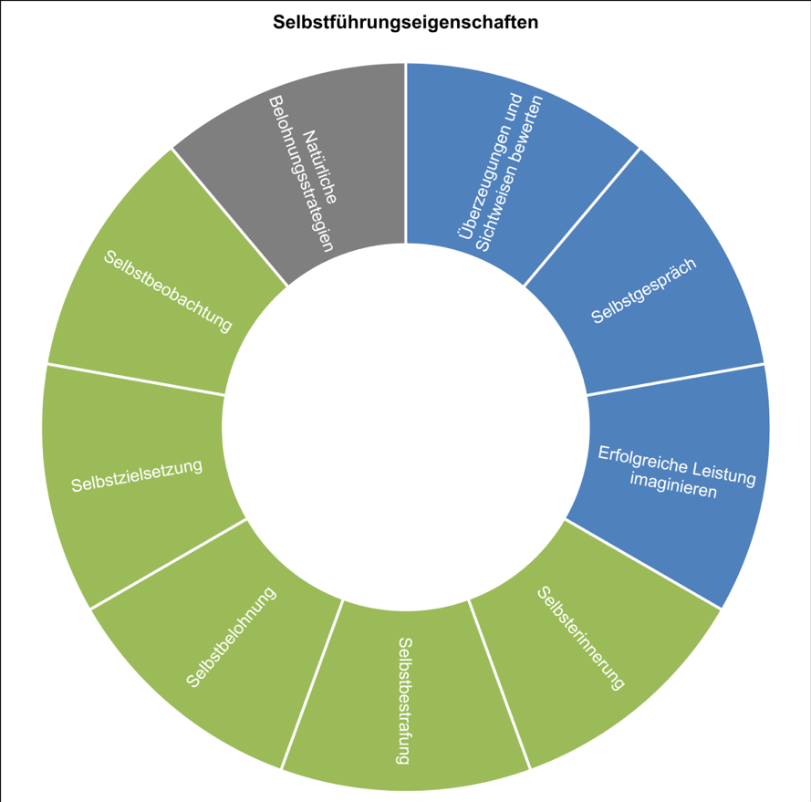 Grafik zu Self-Leadership Kompetenzen